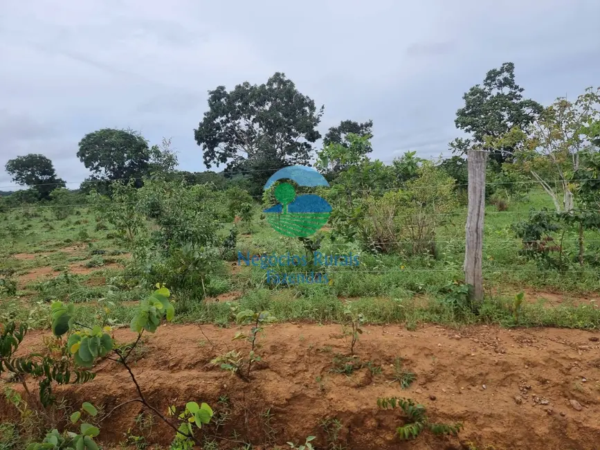 Foto 5 de Fazenda / Haras com 8 quartos à venda, 677m2 em Centro, Colinas Do Sul - GO