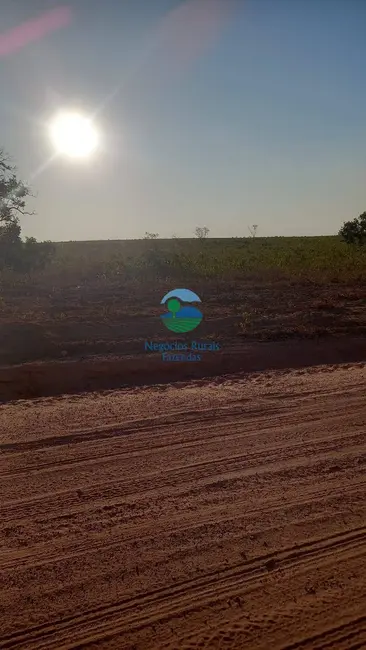Foto 6 de Fazenda / Haras à venda, 922m2 em Rio Sono - TO