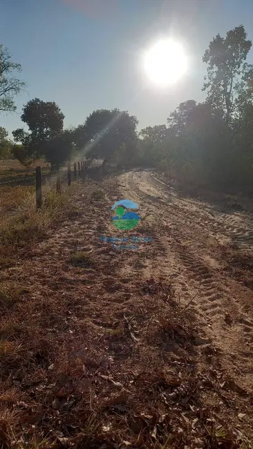 Foto 3 de Fazenda / Haras à venda, 922m2 em Rio Sono - TO