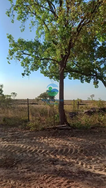 Foto 1 de Fazenda / Haras à venda, 922m2 em Rio Sono - TO