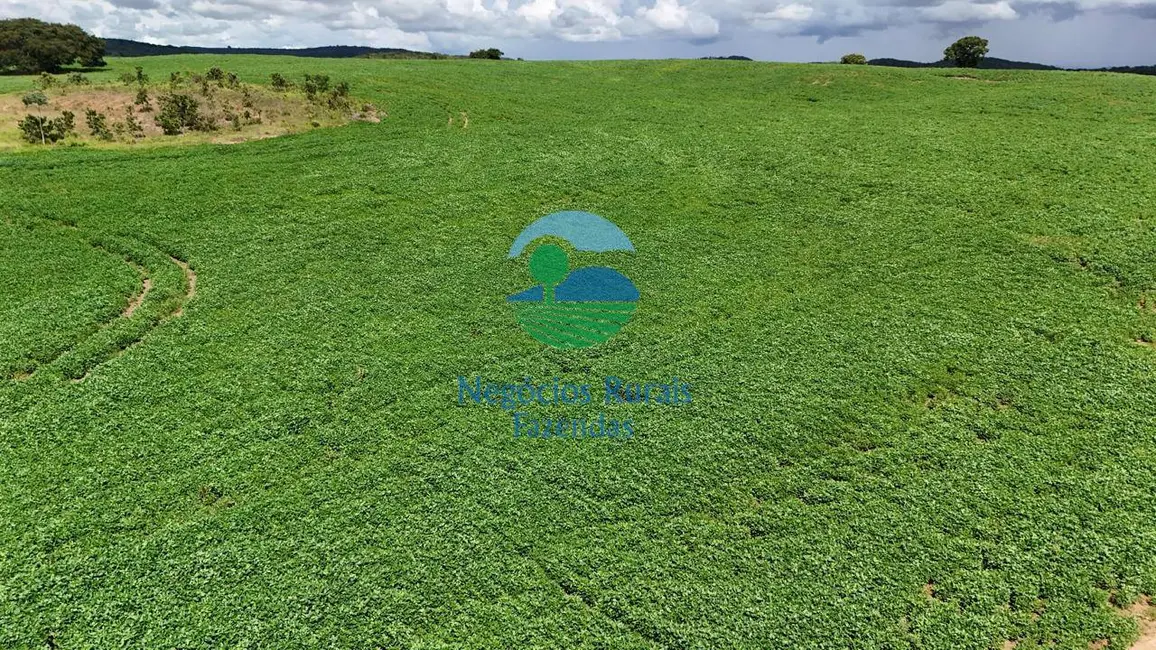 Foto 1 de Fazenda / Haras com 5 quartos à venda, 266m2 em Santa Cruz De Goias - GO