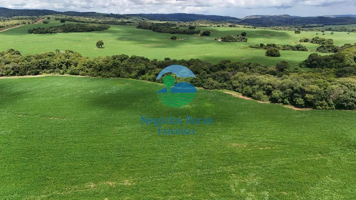 Foto 4 de Fazenda / Haras com 5 quartos à venda, 266m2 em Santa Cruz De Goias - GO