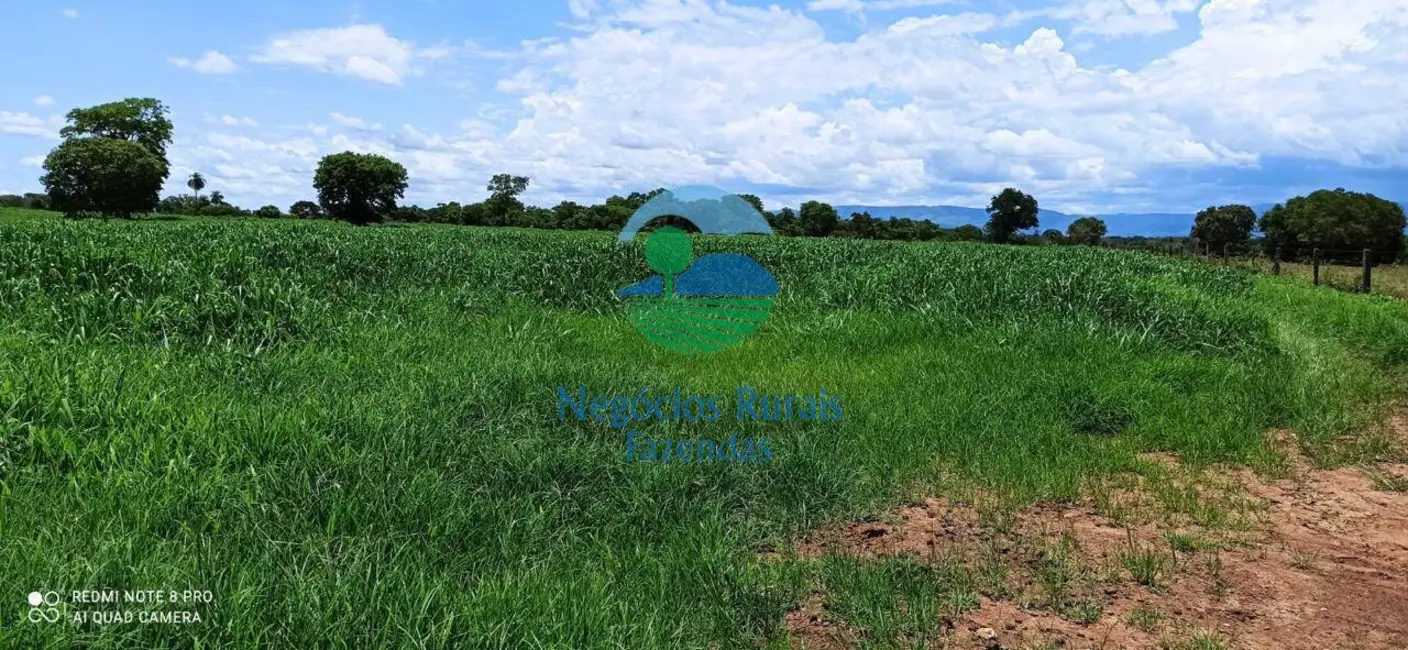 Foto 7 de Fazenda / Haras com 3 quartos à venda, 580m2 em Nova Flores, Flores De Goias - GO