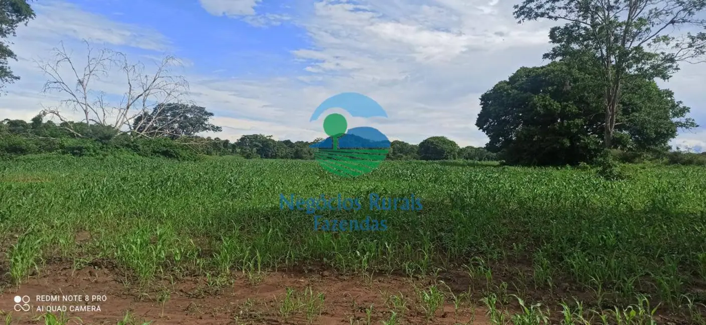 Foto 6 de Fazenda / Haras com 3 quartos à venda, 580m2 em Nova Flores, Flores De Goias - GO
