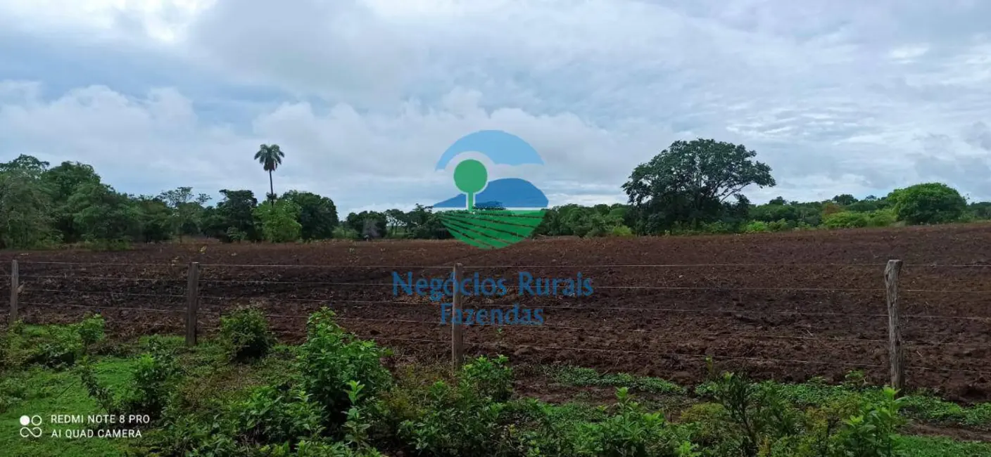 Foto 4 de Fazenda / Haras com 3 quartos à venda, 580m2 em Nova Flores, Flores De Goias - GO