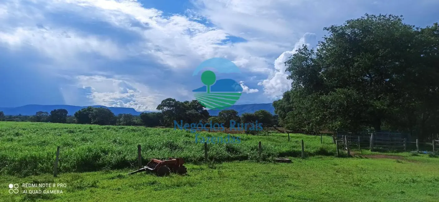 Foto 5 de Fazenda / Haras com 3 quartos à venda, 580m2 em Nova Flores, Flores De Goias - GO