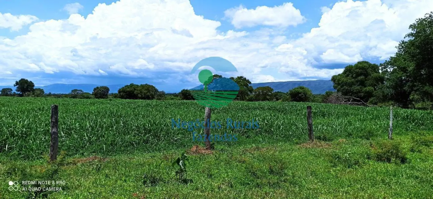Foto 8 de Fazenda / Haras com 3 quartos à venda, 580m2 em Nova Flores, Flores De Goias - GO