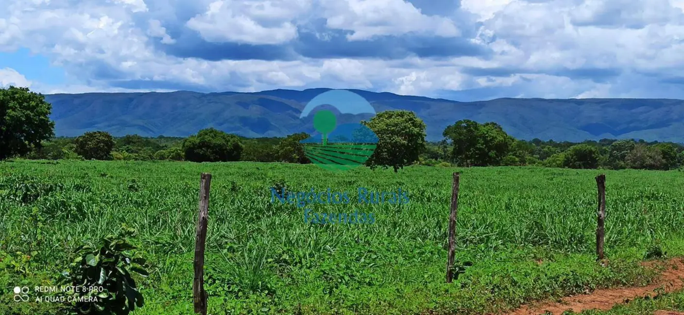 Foto 9 de Fazenda / Haras com 3 quartos à venda, 580m2 em Nova Flores, Flores De Goias - GO
