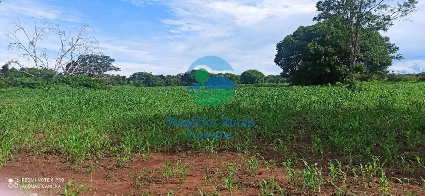 Foto 3 de Fazenda / Haras com 3 quartos à venda, 580m2 em Nova Flores, Flores De Goias - GO