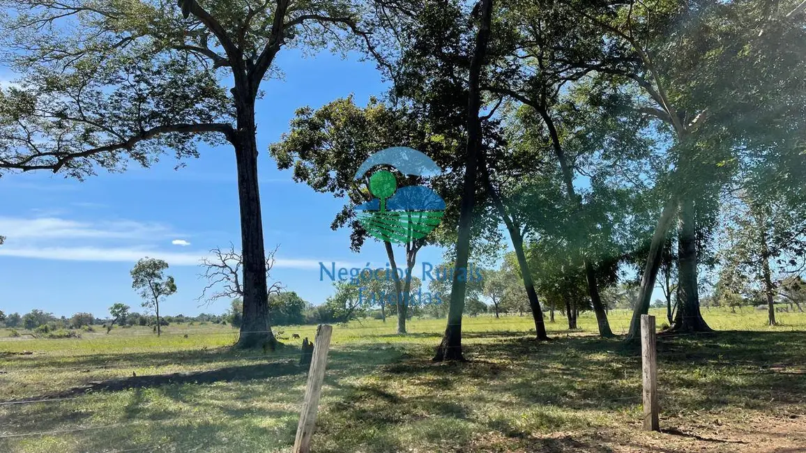 Foto 2 de Fazenda / Haras com 6 quartos à venda, 983m2 em Setor Central, Sao Miguel Do Araguaia - GO