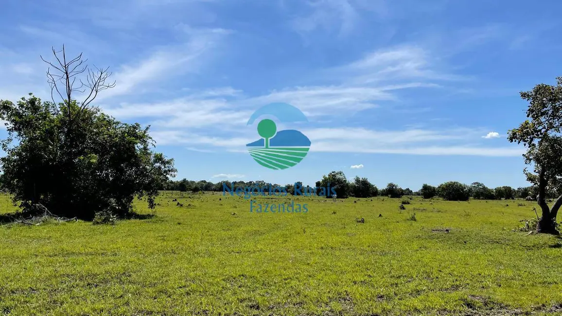 Foto 3 de Fazenda / Haras com 6 quartos à venda, 983m2 em Setor Central, Sao Miguel Do Araguaia - GO