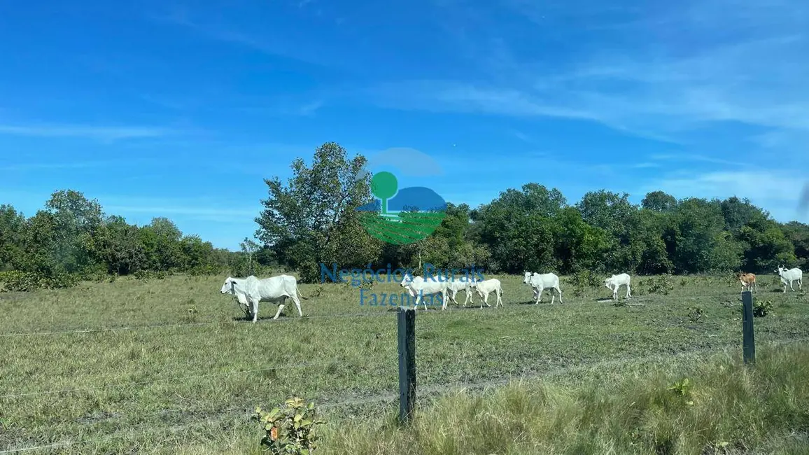 Foto 9 de Fazenda / Haras com 6 quartos à venda, 983m2 em Setor Central, Sao Miguel Do Araguaia - GO
