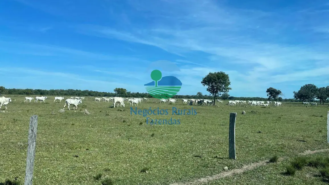 Foto 4 de Fazenda / Haras com 6 quartos à venda, 983m2 em Setor Central, Sao Miguel Do Araguaia - GO