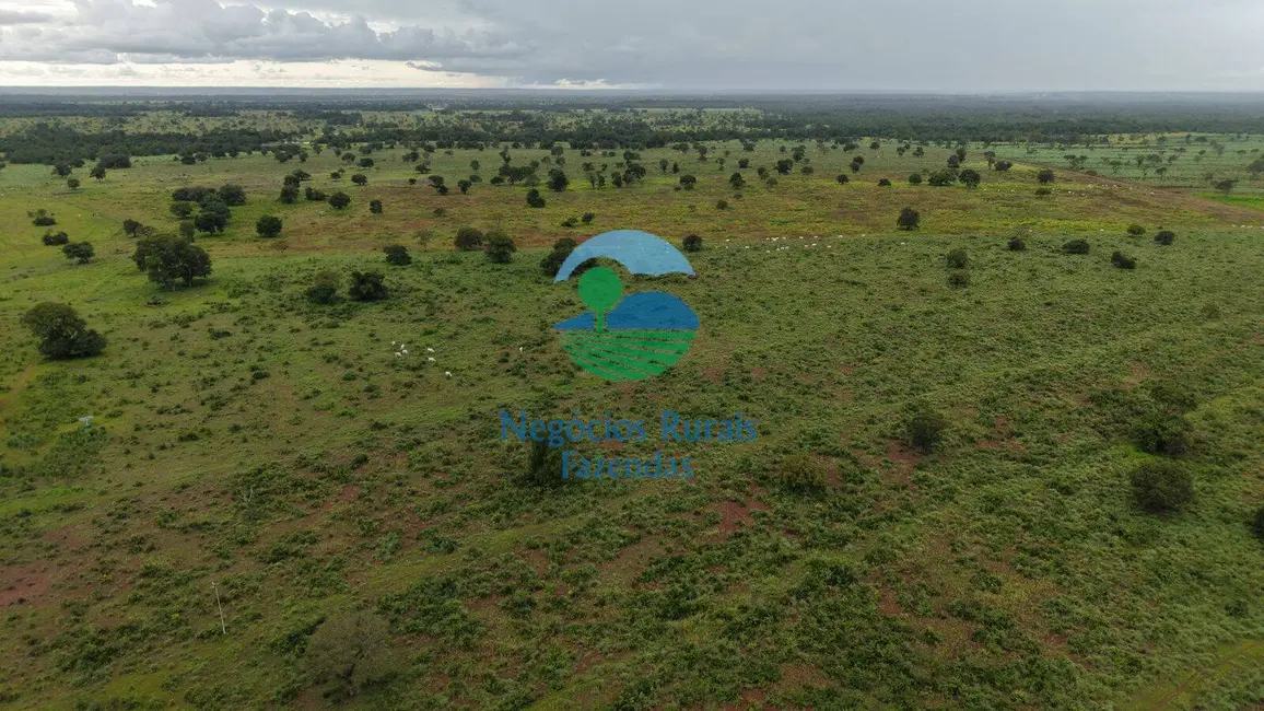 Foto 1 de Fazenda / Haras com 6 quartos à venda, 983m2 em Setor Central, Sao Miguel Do Araguaia - GO