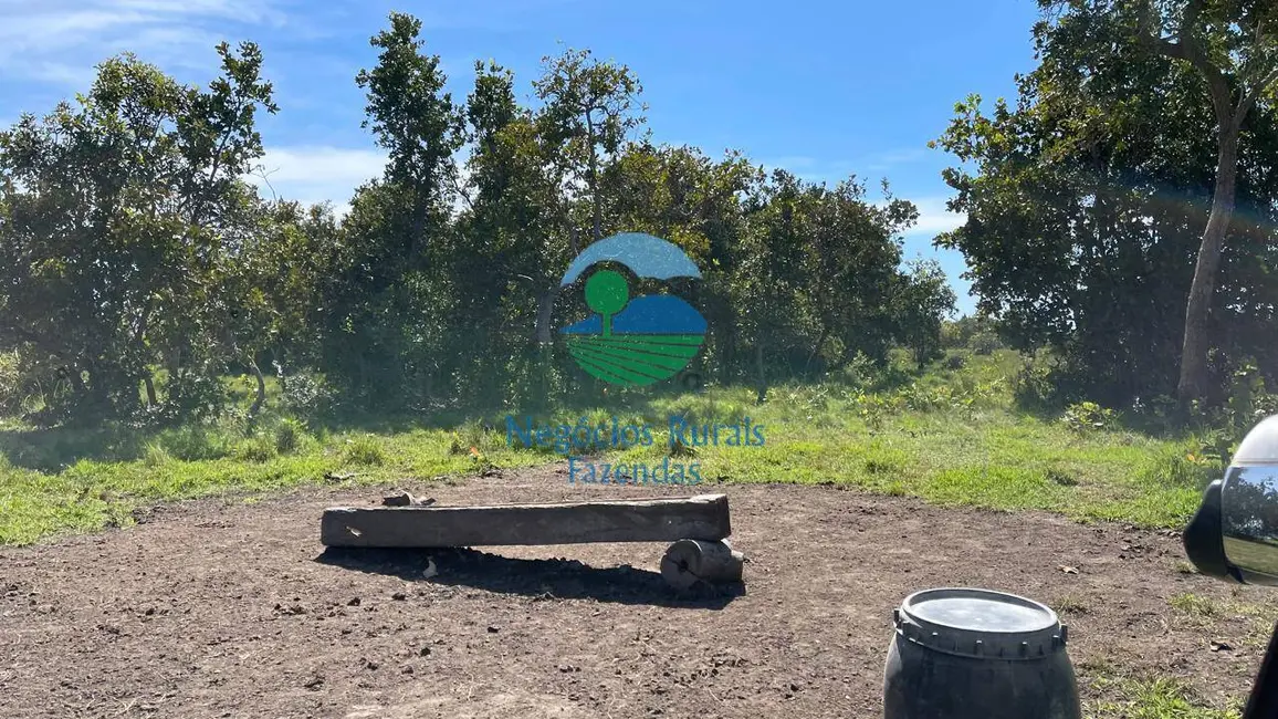 Foto 6 de Fazenda / Haras com 6 quartos à venda, 983m2 em Setor Central, Sao Miguel Do Araguaia - GO