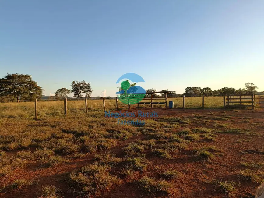 Foto 5 de Fazenda / Haras com 7 quartos à venda, 726m2 em Mara Rosa - GO