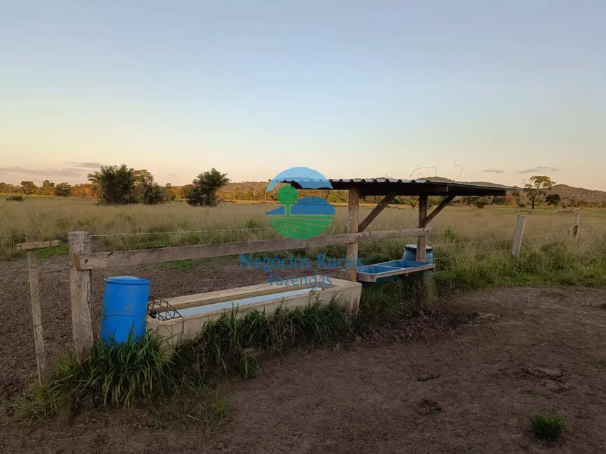 Foto 2 de Fazenda / Haras com 7 quartos à venda, 726m2 em Mara Rosa - GO