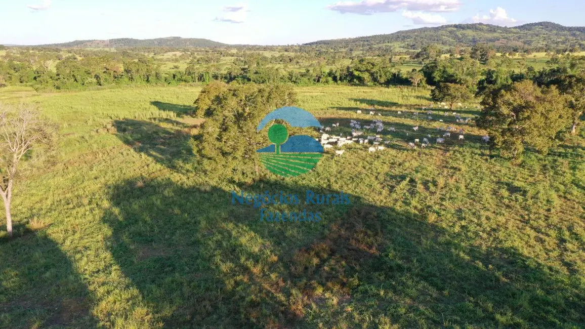 Foto 9 de Fazenda / Haras com 7 quartos à venda, 726m2 em Mara Rosa - GO