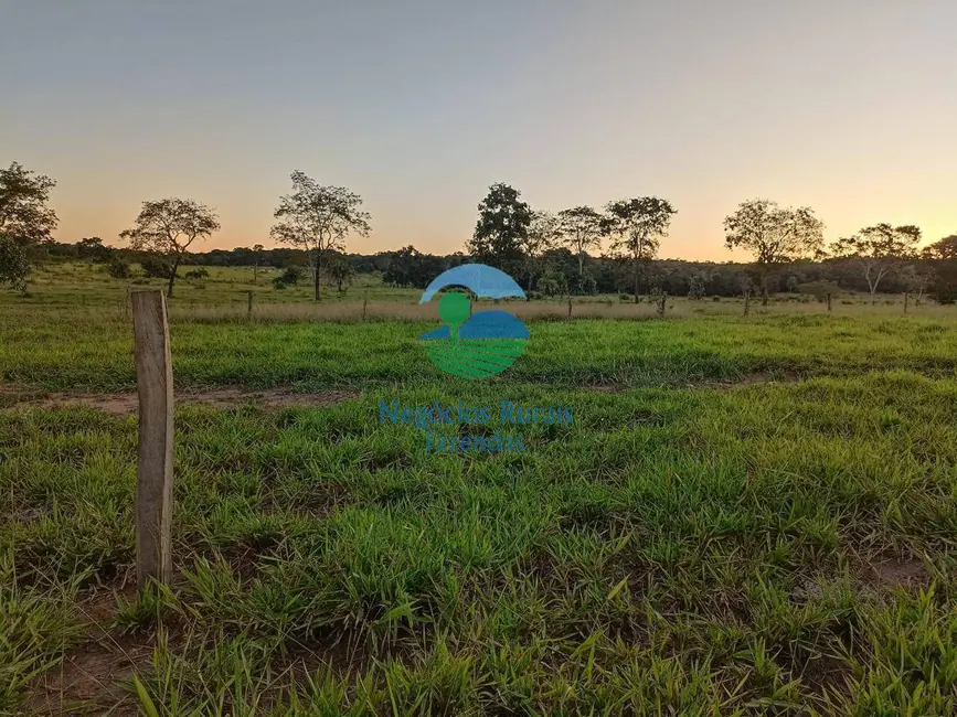 Foto 6 de Fazenda / Haras com 7 quartos à venda, 726m2 em Mara Rosa - GO
