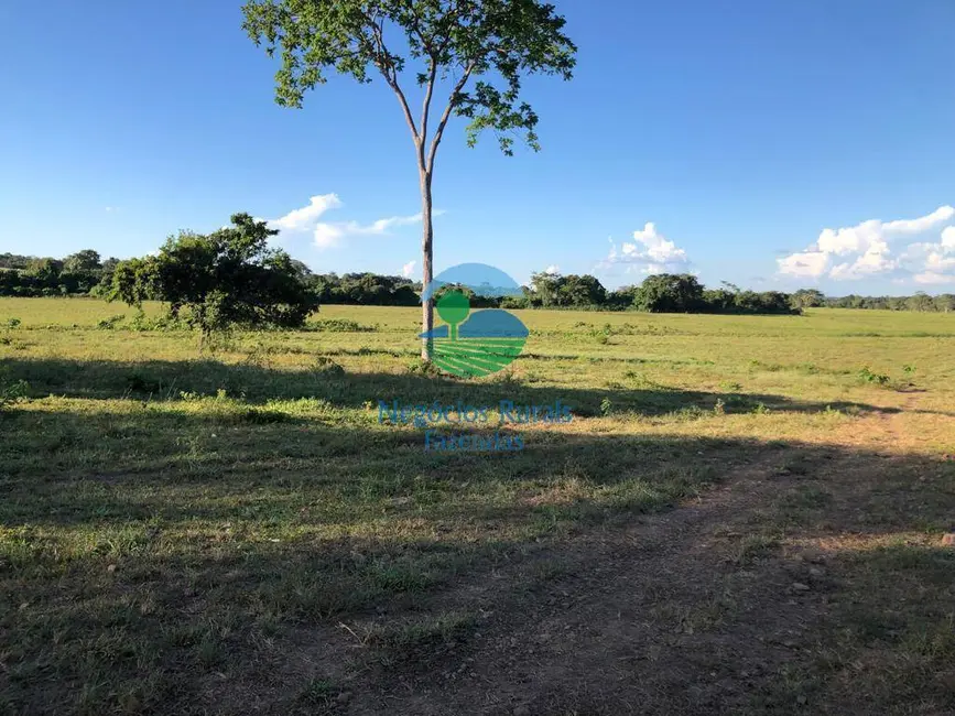 Foto 3 de Fazenda / Haras com 7 quartos à venda, 726m2 em Mara Rosa - GO