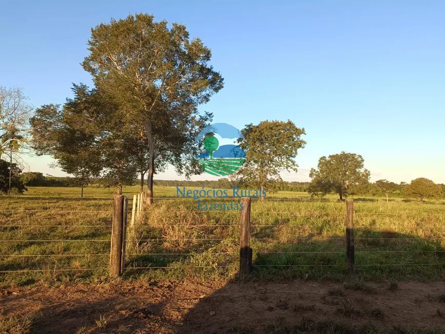 Foto 4 de Fazenda / Haras com 7 quartos à venda, 726m2 em Mara Rosa - GO