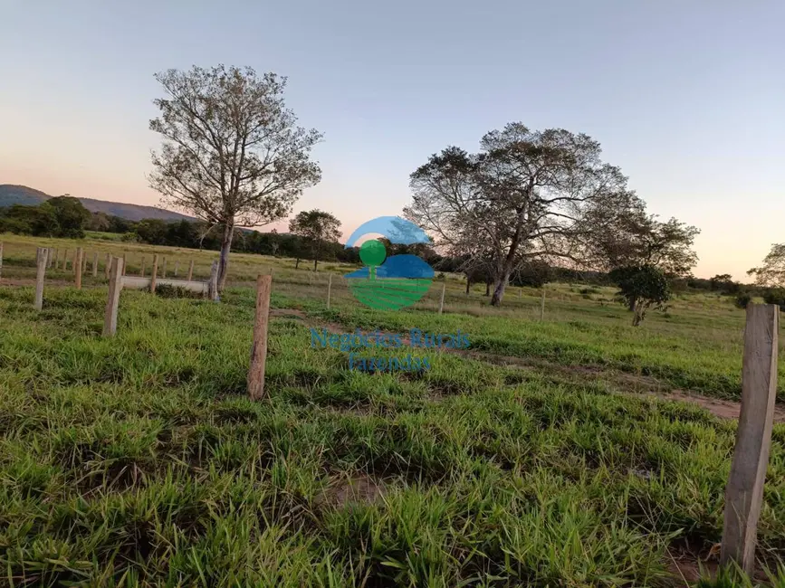 Foto 8 de Fazenda / Haras com 7 quartos à venda, 726m2 em Mara Rosa - GO