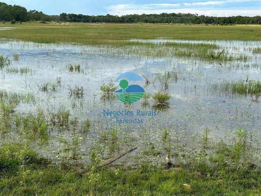 Foto 5 de Chácara à venda, 5614m2 em Taipas Do Tocantins - TO
