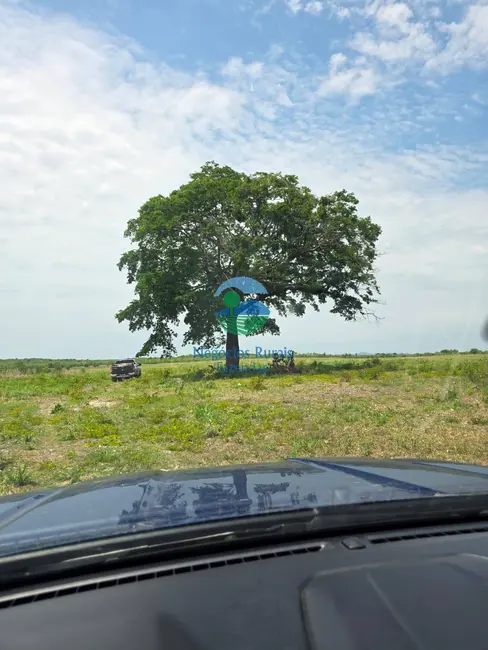 Foto 9 de Chácara à venda, 5614m2 em Taipas Do Tocantins - TO