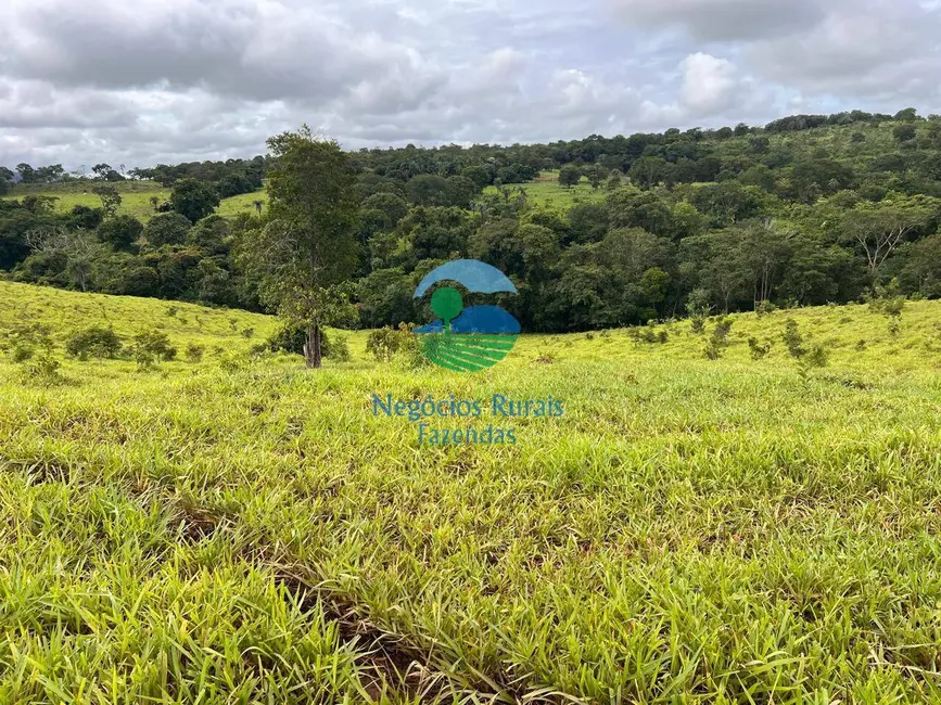 Foto 9 de Fazenda / Haras com 7 quartos à venda, 140m2 em Uruacu - GO