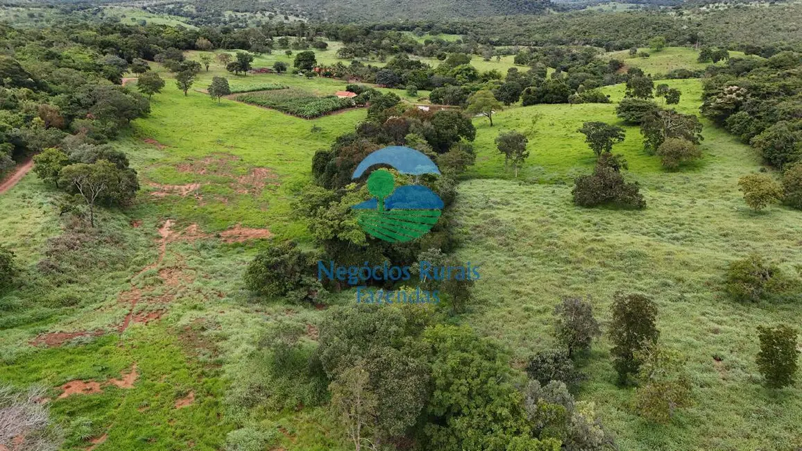 Foto 6 de Fazenda / Haras com 7 quartos à venda, 140m2 em Uruacu - GO