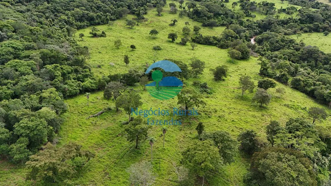 Foto 4 de Fazenda / Haras com 7 quartos à venda, 140m2 em Uruacu - GO
