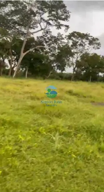 Foto 5 de Fazenda / Haras com 7 quartos à venda, 271m2 em Setor Central, Talisma - TO