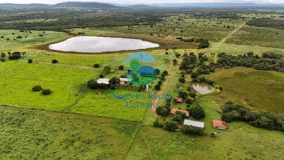Foto 1 de Fazenda / Haras com 7 quartos à venda, 271m2 em Setor Central, Talisma - TO