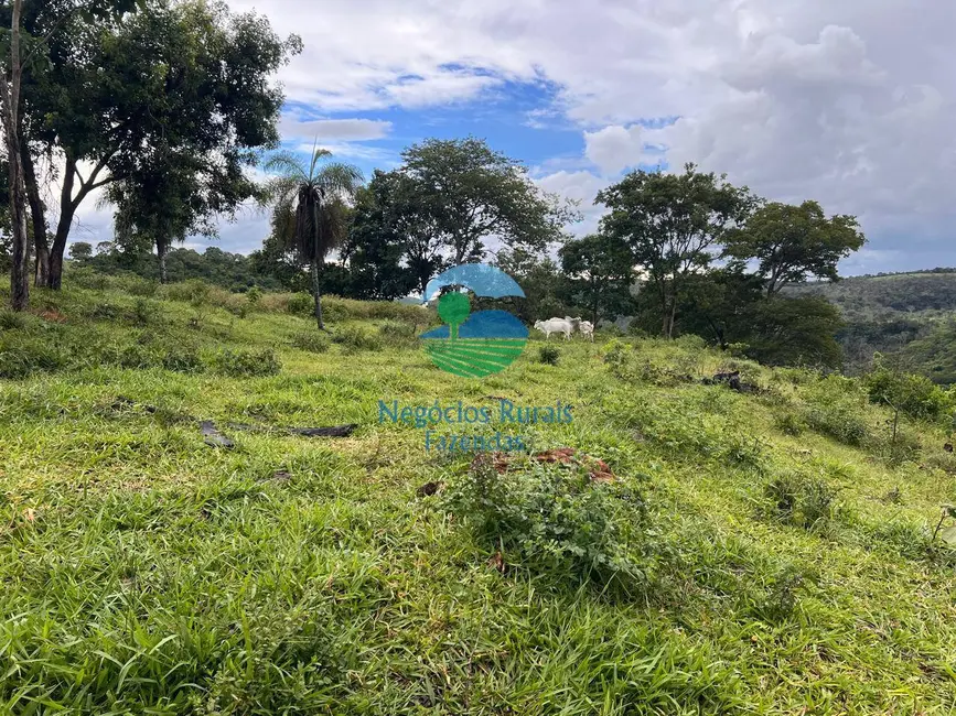 Foto 8 de Fazenda / Haras com 3 quartos à venda, 469m2 em Uruacu - GO