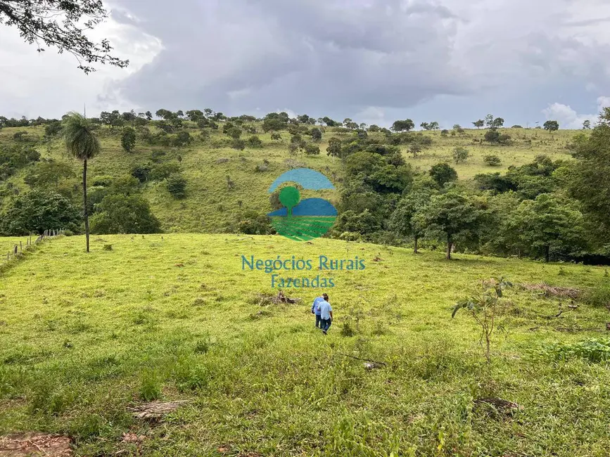 Foto 2 de Fazenda / Haras com 3 quartos à venda, 469m2 em Uruacu - GO
