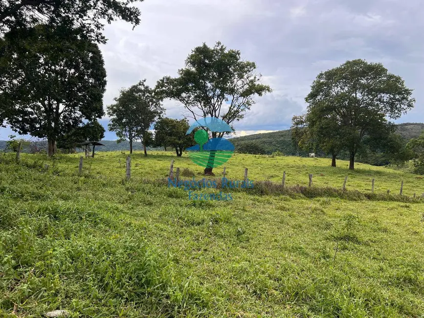 Foto 4 de Fazenda / Haras com 3 quartos à venda, 469m2 em Uruacu - GO