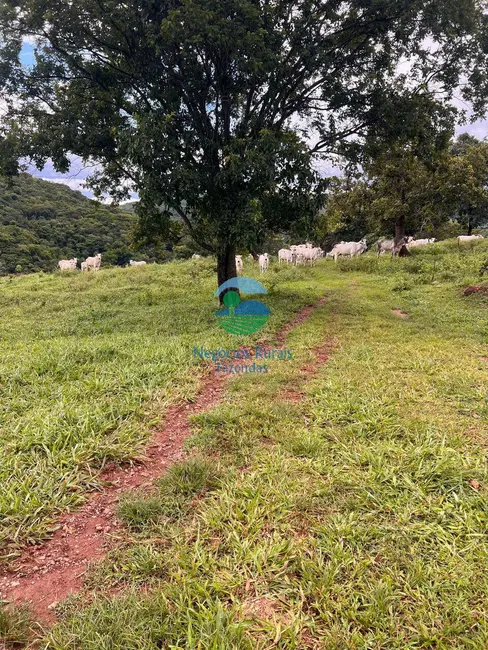 Foto 7 de Fazenda / Haras com 3 quartos à venda, 469m2 em Uruacu - GO