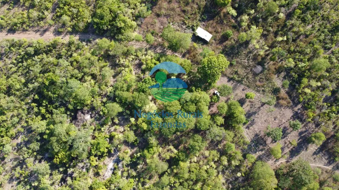 Fazenda / Haras com 1 quarto à venda, 1936m2 em Parana - TO - imagem 9 Foto 9 de Fazenda / Haras com 1 quarto à venda, 1936m2 em Parana - TO