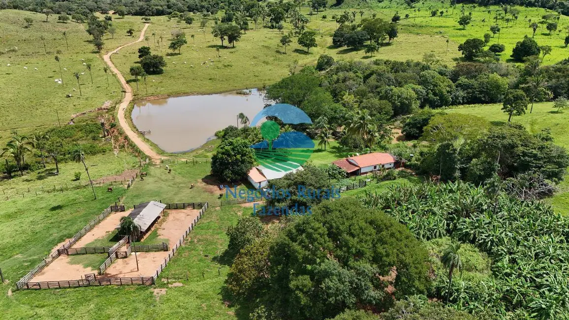 Fazenda / Haras com 5 quartos à venda, 401m2 em Campinorte - GO - imagem 1 Foto 1 de Fazenda / Haras com 5 quartos à venda, 401m2 em Campinorte - GO