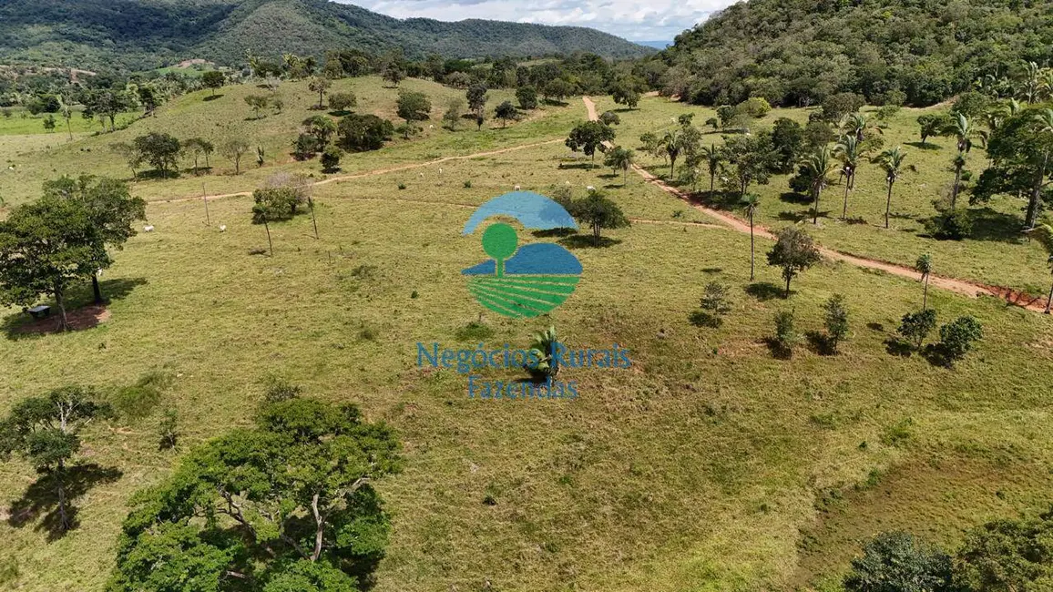 Fazenda / Haras com 5 quartos à venda, 401m2 em Campinorte - GO - imagem 4 Foto 4 de Fazenda / Haras com 5 quartos à venda, 401m2 em Campinorte - GO