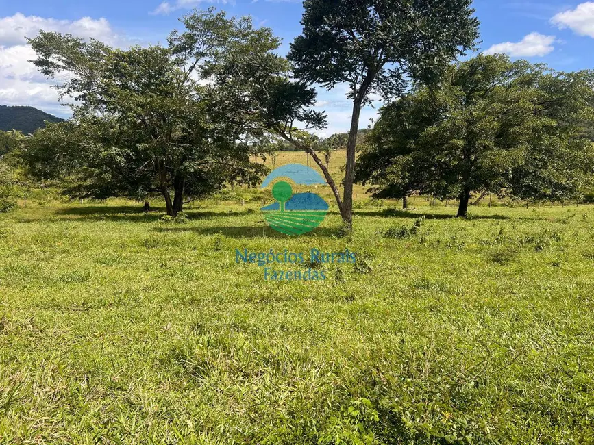 Fazenda / Haras com 5 quartos à venda, 401m2 em Campinorte - GO - imagem 6 Foto 6 de Fazenda / Haras com 5 quartos à venda, 401m2 em Campinorte - GO