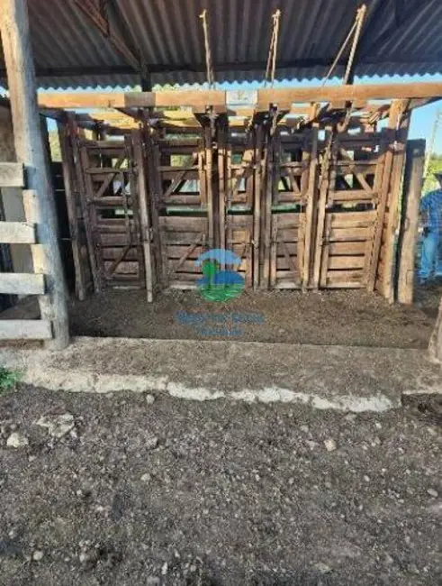 Foto 8 de Fazenda / Haras com 7 quartos à venda, 411m2 em Itapirapua - GO