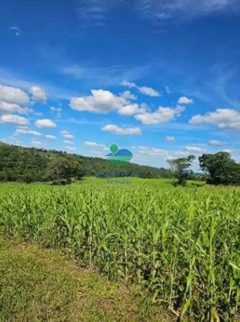 Foto 1 de Fazenda / Haras com 7 quartos à venda, 411m2 em Itapirapua - GO