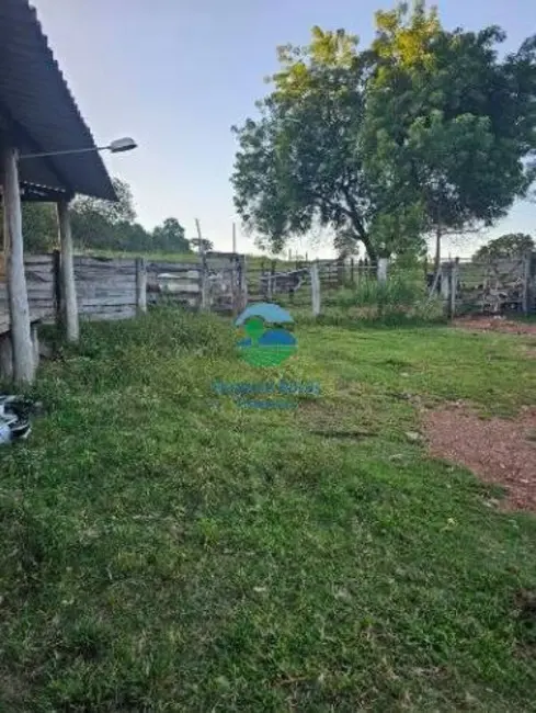 Foto 9 de Fazenda / Haras com 7 quartos à venda, 411m2 em Itapirapua - GO