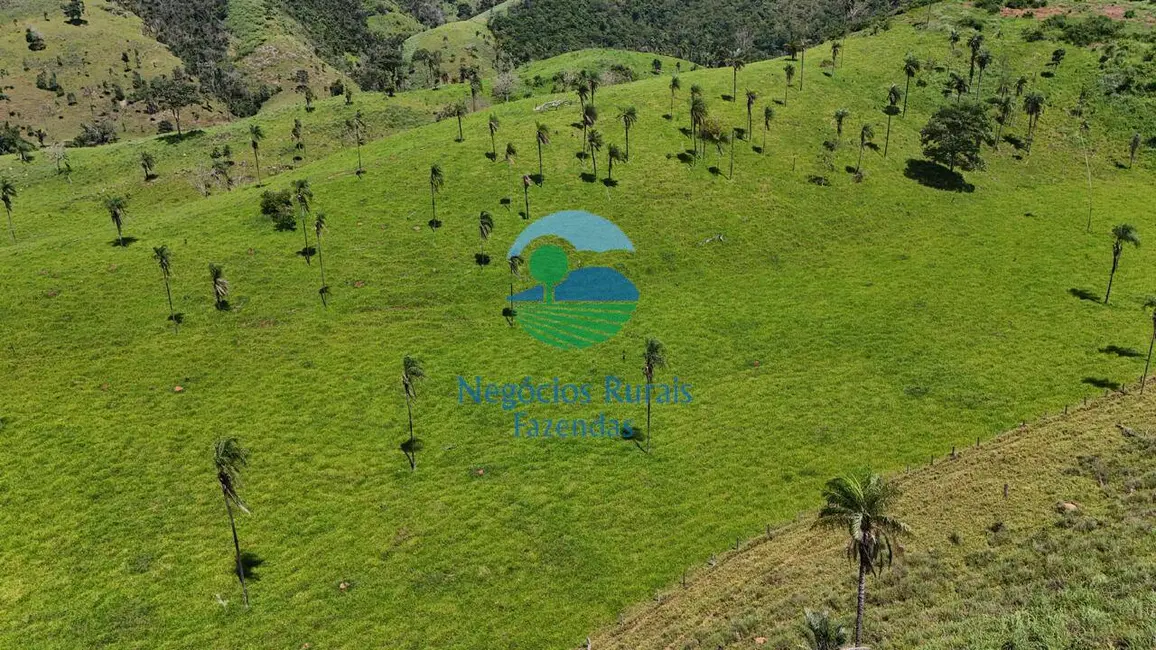 Foto 6 de Fazenda / Haras com 7 quartos à venda, 300m2 em Campinacu - GO