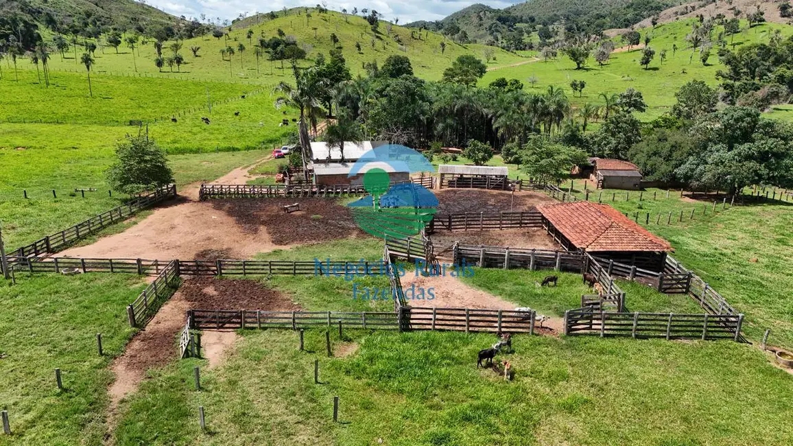 Foto 1 de Fazenda / Haras com 7 quartos à venda, 300m2 em Campinacu, GO