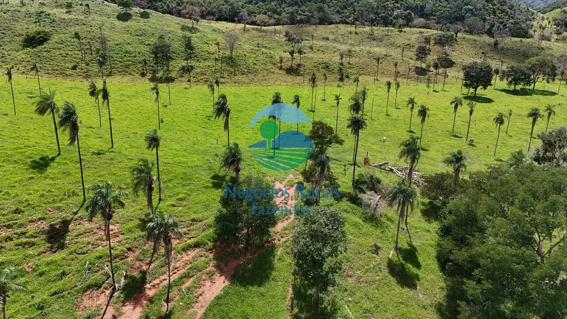 Foto 3 de Fazenda / Haras com 7 quartos à venda, 300m2 em Campinacu - GO