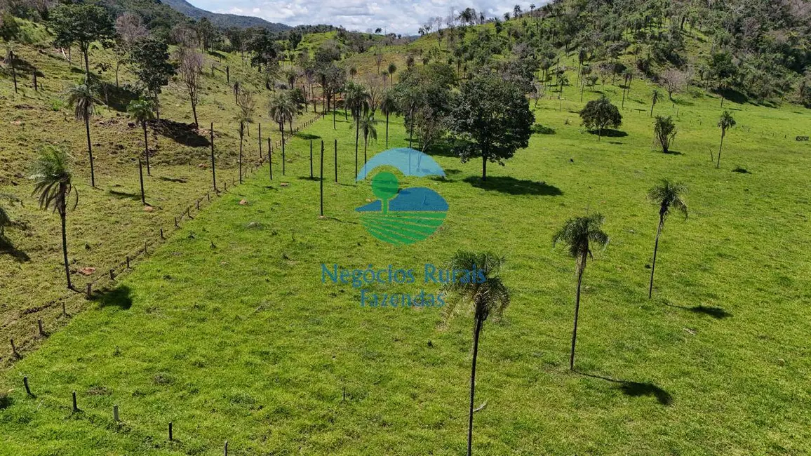 Foto 5 de Fazenda / Haras com 7 quartos à venda, 300m2 em Campinacu - GO