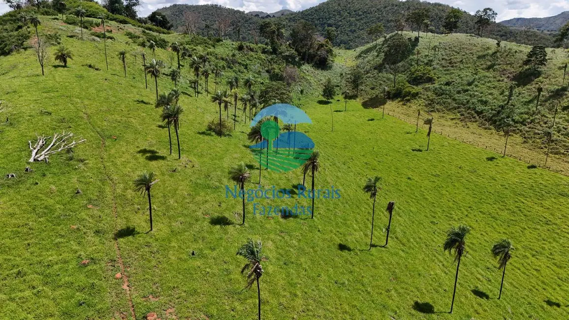 Foto 9 de Fazenda / Haras com 7 quartos à venda, 300m2 em Campinacu - GO