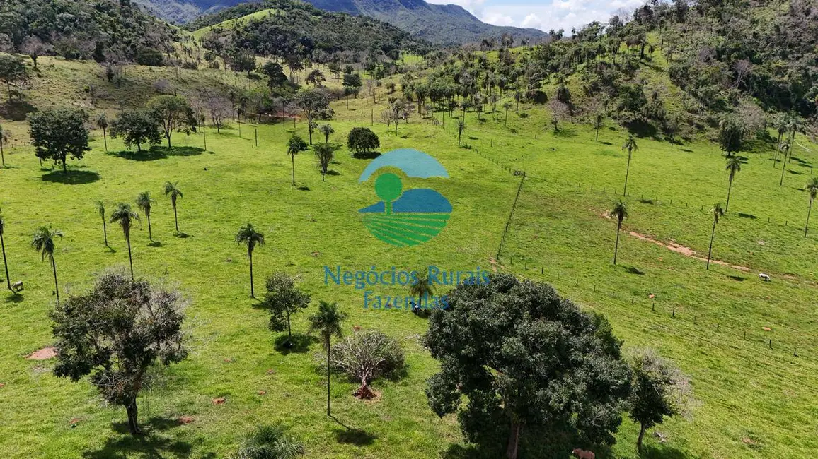 Foto 8 de Fazenda / Haras com 7 quartos à venda, 300m2 em Campinacu - GO